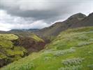 Laugavegur271.jpg