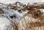 IMG_7570.jpg