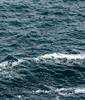 2016-03-19 16-35-57 - DSC_5574.jpg