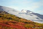 DSC_0743.JPG